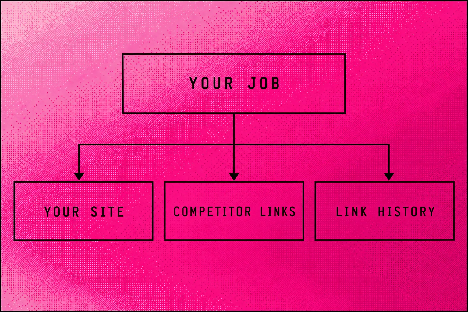 Decision boxes split own-site backlink checks from competitor research and link-history work